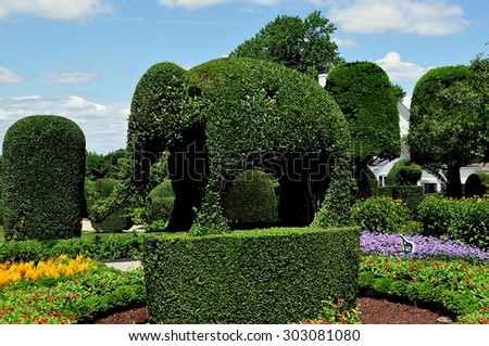 Portsmouth, Rhode Island - July 16, 2015:  An immense topiary elephant and clipped trees at Green Animals Topiary Gardens