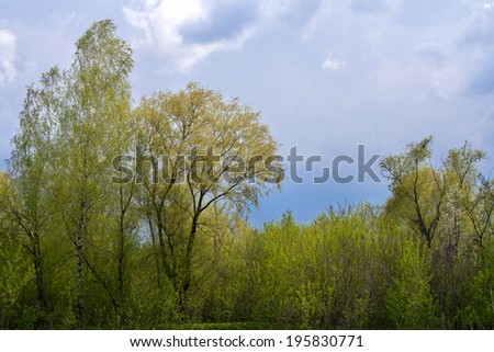 Spring countryside landscape before storm