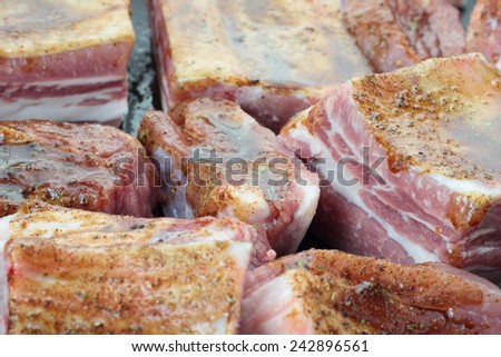 Seasoned pieces of pork ribs read to roast.