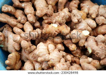 Dried gastrodia and yam close-up, various medicinal herbs of traditional oriental medicine