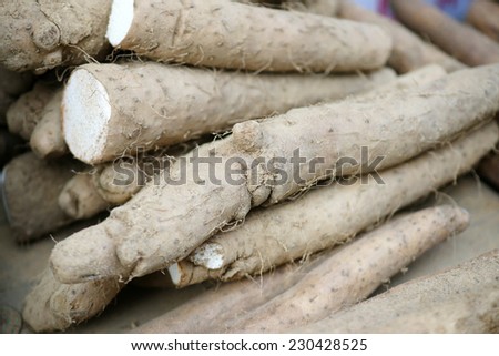 Dried gastrodia and yam close-up, various medicinal herbs of traditional oriental medicine