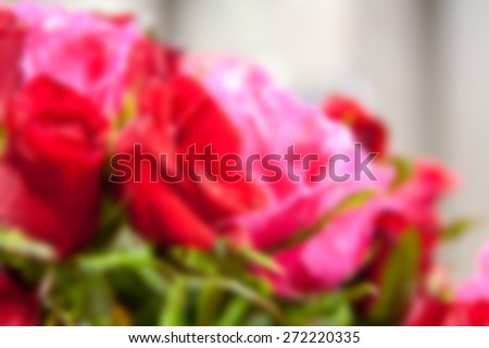 soft style and blurred fill color of natural rose backgrounds