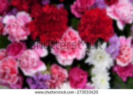 soft style and blurred fill color of natural rose backgrounds