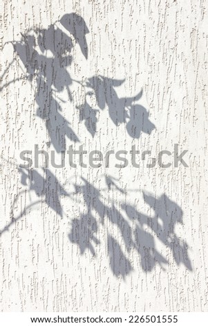 the shadow of the leaves on the wall