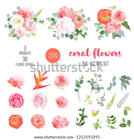 Orange ranunculus, pink rose, hydrangea, coral carnation, garden flowers, greenery and decorative plants big vector set. Living coral 2019 trendy color collection. Elements are isolated and editable