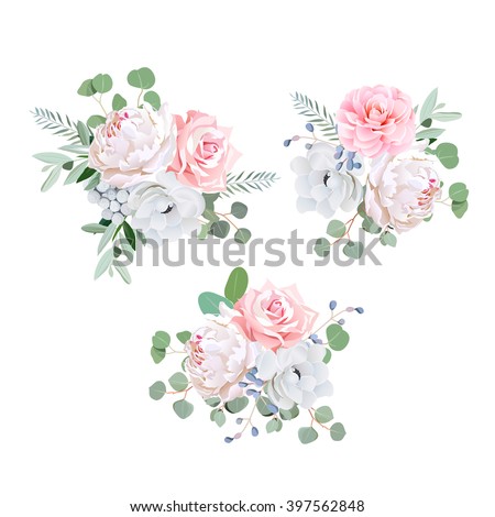 Bouquets of rose, peony, anemone, camellia, brunia flowers and eucalyptus leaves. Vector design elements.
