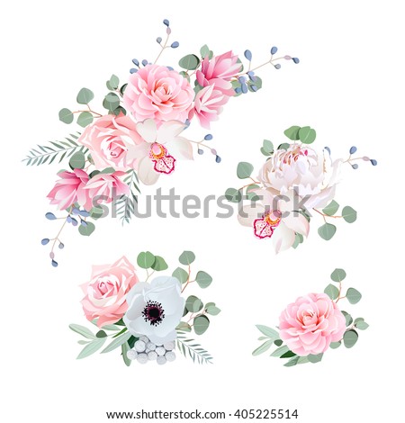 Sweet wedding bouquets of rose, peony, orchid, anemone, camellia, blue berries and eucalyptus leaves. Vector design elements. Wedding vector flower elements. Floral bouquet vector design set.