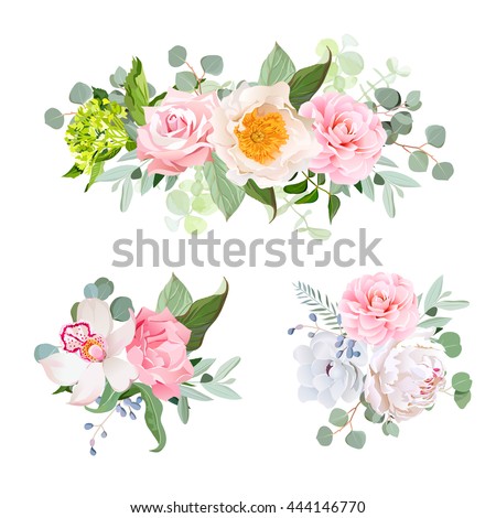 Stylish various flowers bouquets vector design set. Green hydrangea, rose, camellia, orchid, peony, anemone, carnation, eucaliptus leaf, wildflowers. All elements are isolated and editable.