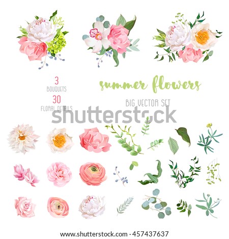 Ranunculus, rose, peony, dahlia, camellia, carnation, orchid, hydrangea flowers and decorative plants big vector collection. All elements are isolated and editable.