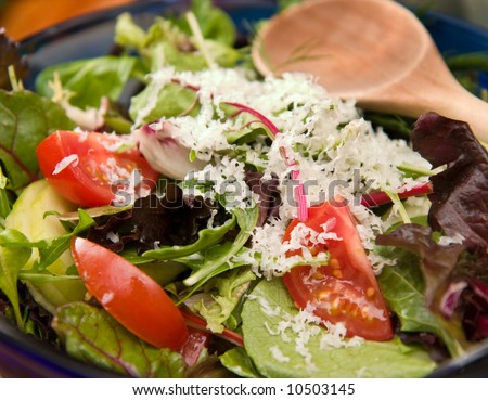 Fresh garden salad with mixed greens, cucumbers, tomatoes and olives topped with shredded cheese
