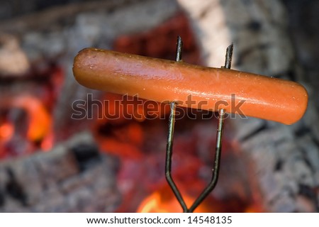-photo-marshmallow-on-a-stick-being-roasted-over-a-camping-fire.html