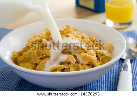 bowl of cereal. into a owl of cereal