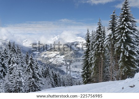 Alpine ski resort forest landscape