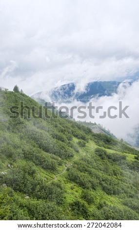 Foggy landscape aerial view of mountain forest and winding hiking trail