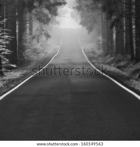 Empty forest autumn road in a fog
