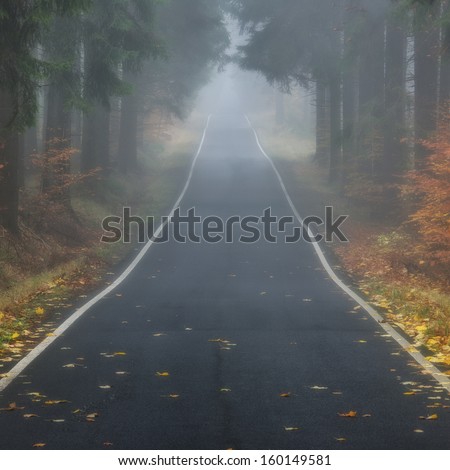 Empty forest autumn road in a fog