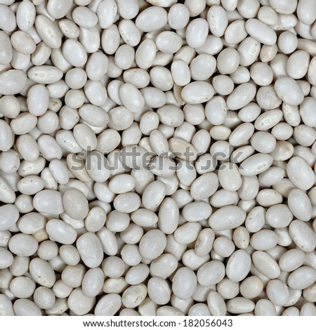 Texture of white beans