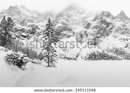Black and white winter landscape with mountains, pine trees, and a fresh snow covered trail.
