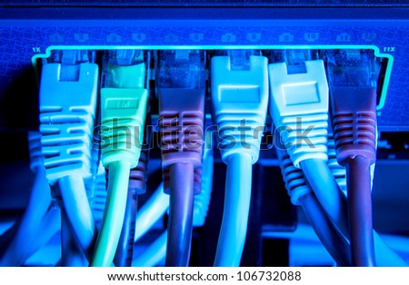 close up of network cables connected to switch