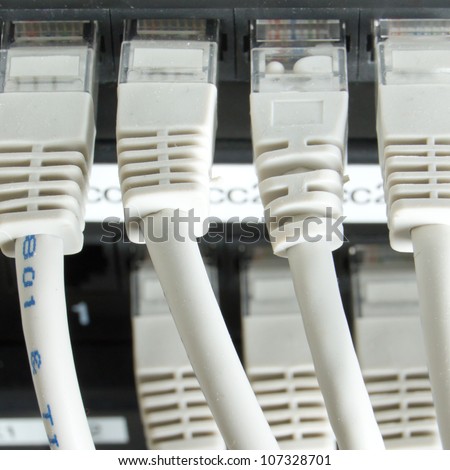 close up of network cables connected to switch