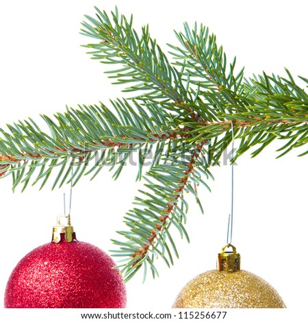 red christmas ball hanging from tree isolated on white background