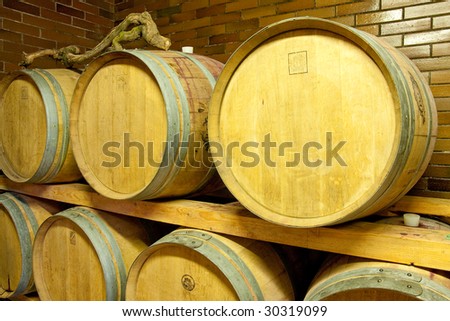 wine barrels in old wine cave