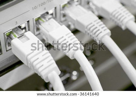 network cables RJ45 connected to a switch