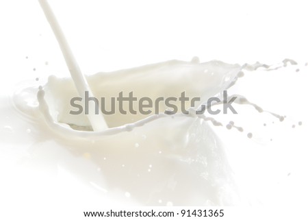 pouring milk splash isolated on white background