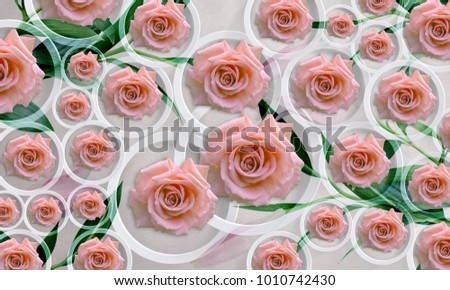 Flowers roses on white background in circles. Photo wallpaper for interior. 3D rendering.