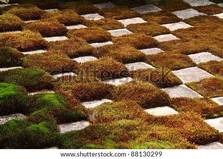 Square cutted stones and moss in a chequered pattern in the Japanese zen garden.