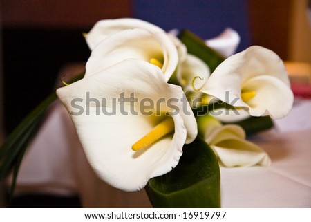 Wedding bouquet of Calla Lilies