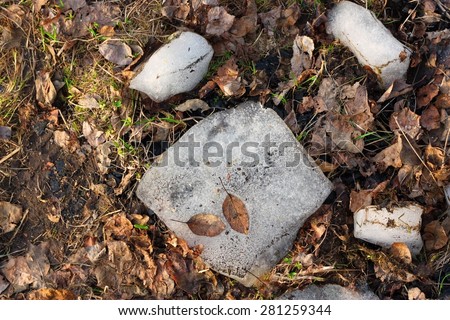 The last pieces of ice with young green grass and last year\'s leaves in early spring