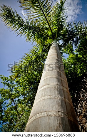 Palm form below