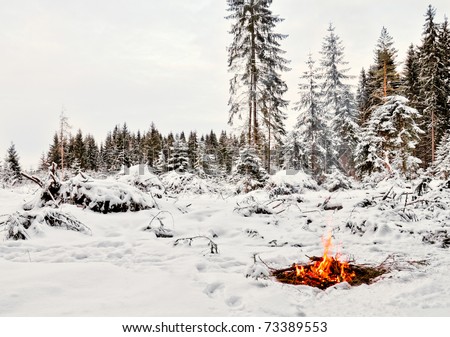 Twilight in the forest. Snow around and only campfire lets survive tough time.
