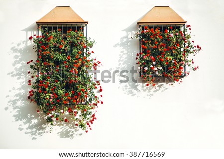 Flowerpots and colorful flower on a white wall, in Cordoba, Spain