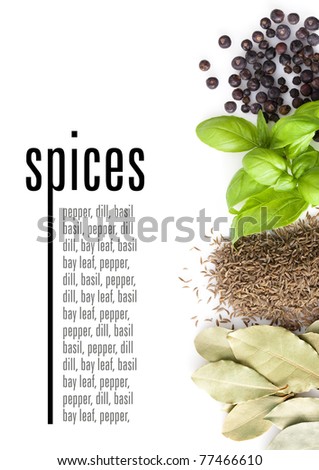Spices on white background With sample text Spices on white background With sample text