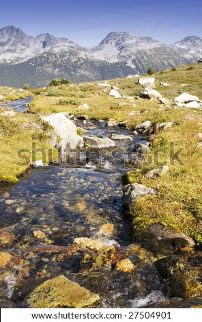 Alpine stream and mountains, at Whistler British Columbia in summer