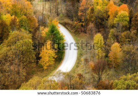 Autumn trees and winding road from above