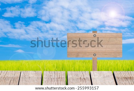 Wood Signs at rice fields and sky on nature background