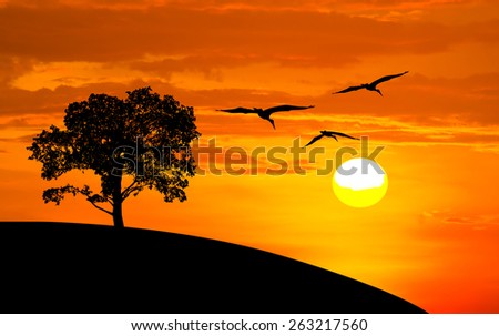 Silhouette big tree and bird flying on sunset background
