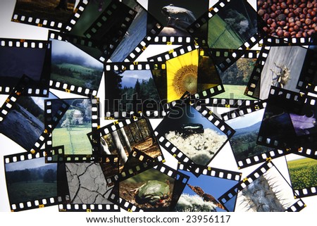 Cut up slide film