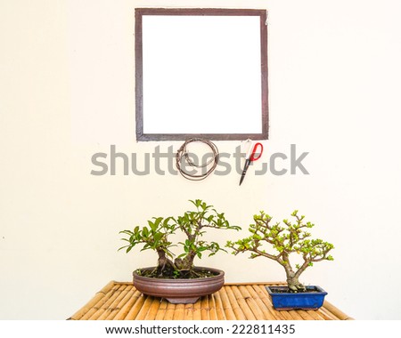 Bonsai tree with tools of the trade