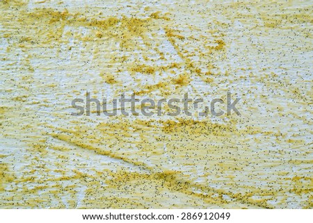painted cream Old Wood Background