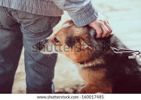 Cute dog and its owner