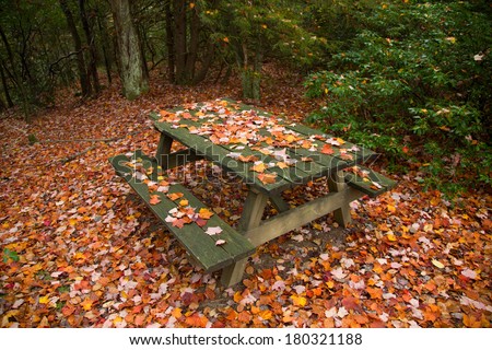 Picnic area during fall season with red maple leaves on the table