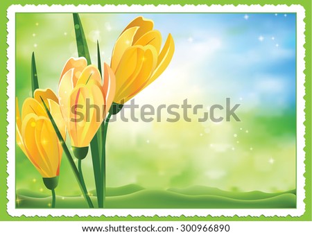 Spring Background with crocus flowers. Post card spring background with yellow crocus flowers in the foreground. Print colors used.