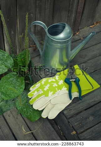 Watering-can, protective gloves and garden pruner on the worn wooden surface surrounded by the grass