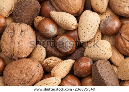 Various kinds of nuts in shells, brazil nuts, almonds, hazelnuts and walnuts.