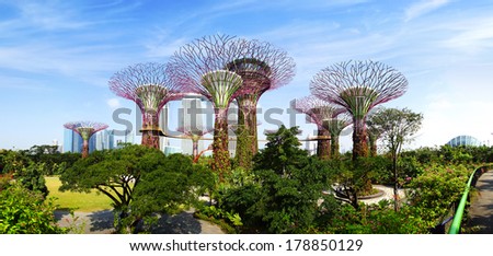 SINGAPORE - FEBRUARY 04, 2014: The Supertree Grove at Gardens by the Bay. These unique Supertrees are tall Ã¢Â?Â? up to 16 storeys in height, created by UK landscape architects Grant Associates.