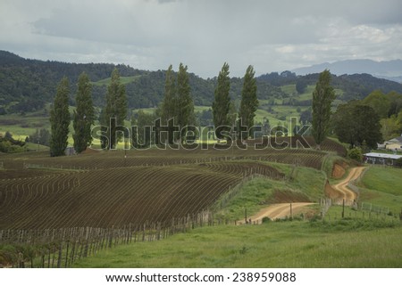 Landscape with farms. New Zealand